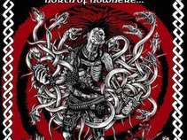 INSTINCT OF SURVIVAL