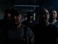 Image for IAMTHESHOTGUN