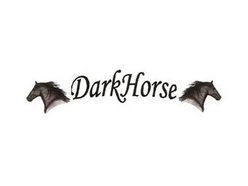 Image for DarkHorseSalemBand