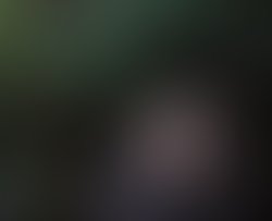 1368156587 10151388420023575 811260246 n