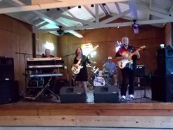 Image for The Nasty Habitz Band