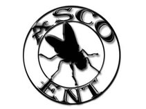 ASCO ENTERTAINMENT