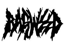 RAGWEED