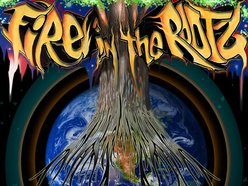 Image for Fire in the Rootz