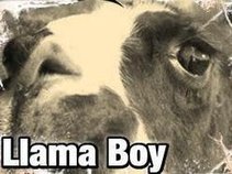 Llama Boy