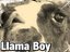 Llama Boy
