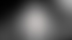 Www leemayjah egypt banner