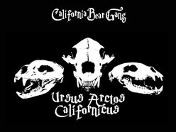 CALIFORNIA BEAR GANG