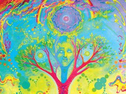 Image for Bonsai Nation