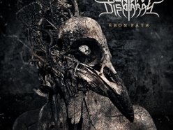 Image for BLATANT DISARRAY