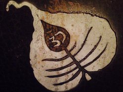 Image for Bodhi Drip