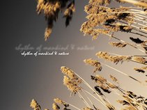 Rhythm of Mankind and Nature