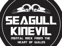 SEAGULL KINEVIL