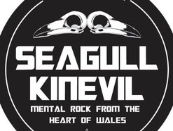 Image for SEAGULL KINEVIL