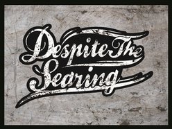 Image for Despite the Searing