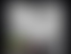 7c4431cb 17bc 4faf b1d5 02e7390c89be 263 00000009d83d9d97