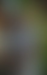 1345911692 kelly at cindy s