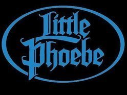 Image for Little Phoebe