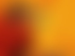 Cowboy up cover2 1286857197 1286857459