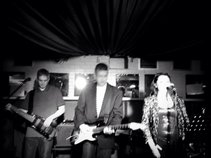 The Ringos