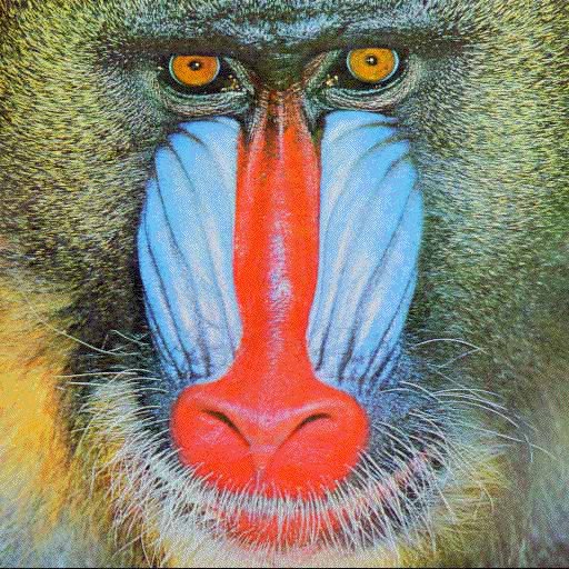 ReverbNation profile picture for @nostrils