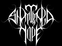 Shattered Hope