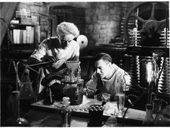 Pete Djpj Paraskevas