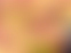 Andre2  005 1293520739 1294291809