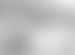 1359345596 2701536674601 1965738846 n