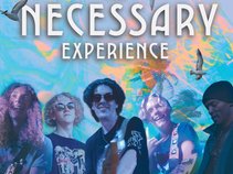 Necessary Experience
