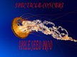 boleck/apple seed prod