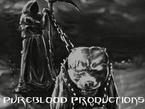 PUREBLOOD PRODUCTIONS