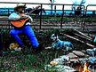 Benjamin Dehart; The Cracker Tenor