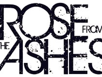 Rose From The Ashes