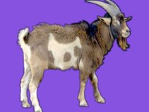 Freyr