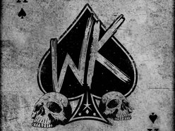 Image for WILD KITTEN