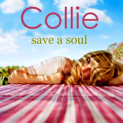 ReverbNation profile picture for @collie