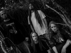 Image for Defeated Sanity