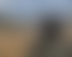 Chris alderdice reverbnation 1600 