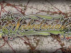 Image for Anhedonia