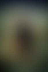 6df3430f fd0b 479a af08 aff6c9b07e16