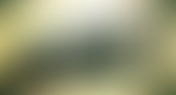 1413931341 artist 1196884 1413931329