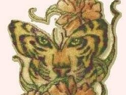Image for Morrison