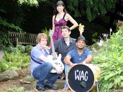 Image for The Wag