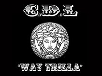 C.D.L
