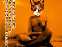 Electronic Tantra Fuschimuschi Meditation Part 1