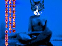 Electronic Tantra FushiMushi Meditation