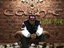 Mr.BiggCash E