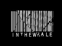 INTHEWHALE
