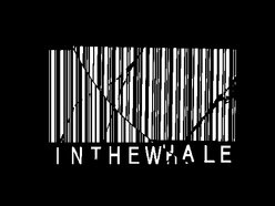 INTHEWHALE